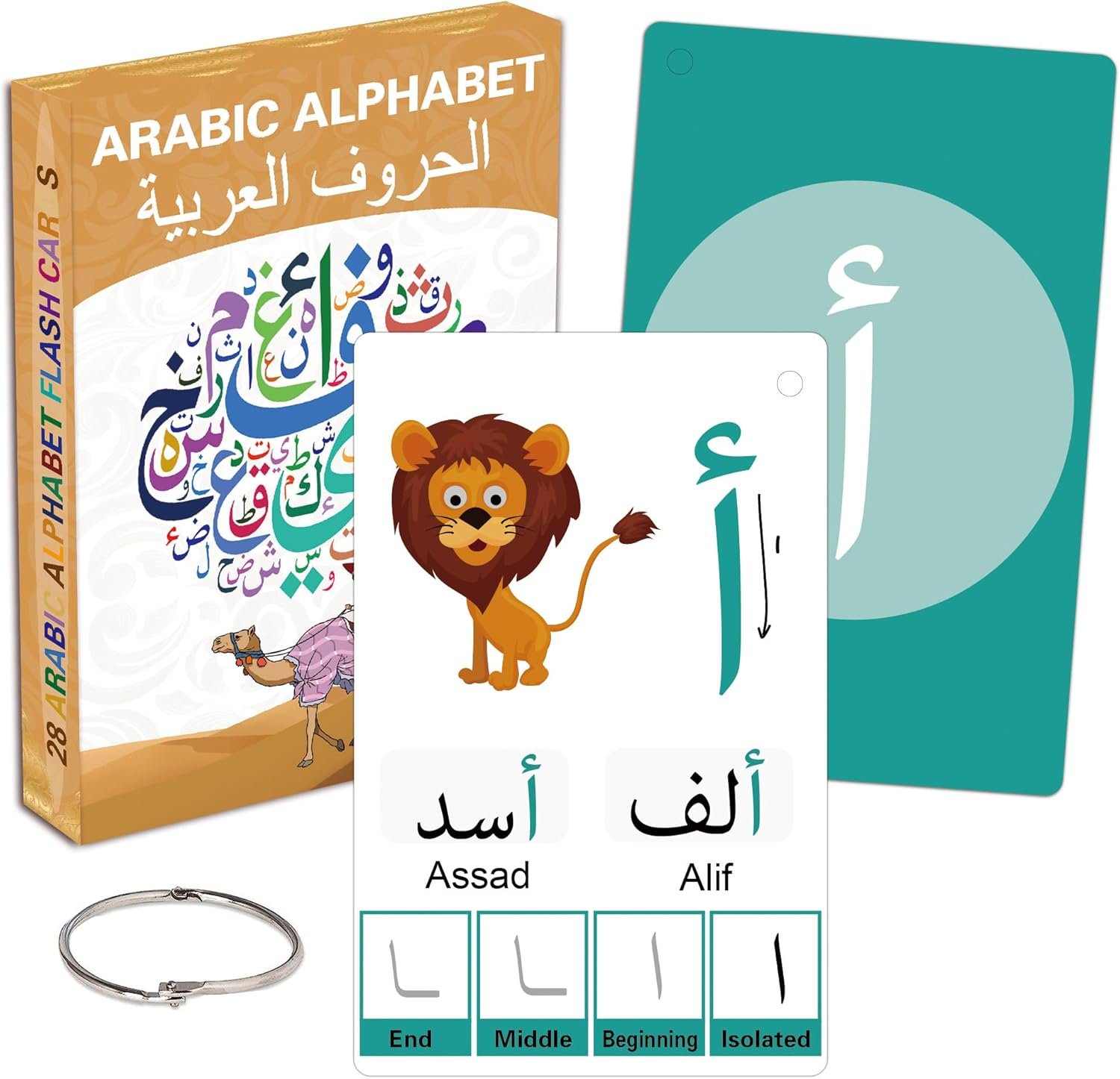 Arabic Flash Cards for Beginners, Learn Arabic Alphabet for Kids, Teens and Adults, Educational Language Learning Resource for Grade School, Classroom, Homeschool Supplies