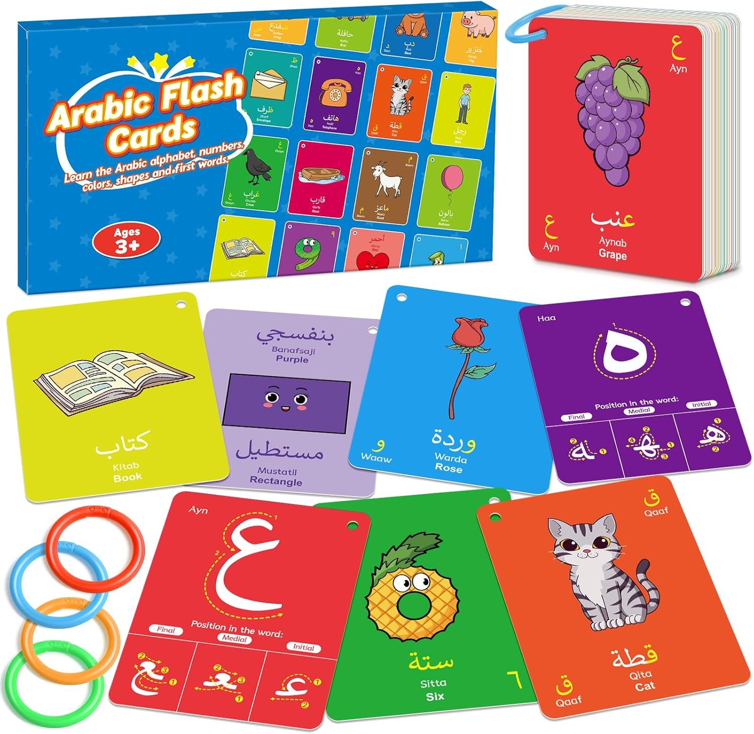 Quilinz Arabic Alphabet Flash Cards, Learn Arabic Letters for Beginners Adult, Kids, Toddlers, Set of Letter, Sight Word, Color, Shape and Number Flashcard, Preschool Educational Learning Activities